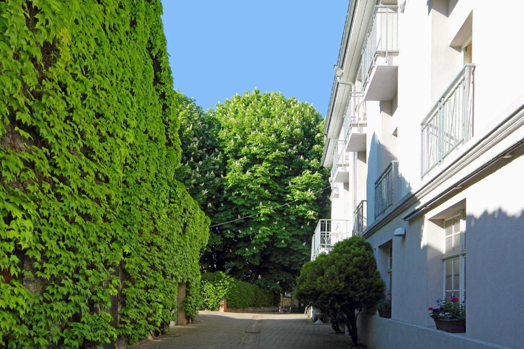 Tiptop Hotel Garni Pfauen Endingen am Kaiserstuhl Exteriér fotografie